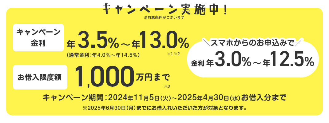 金利 年3.0%~年12.5% お借入限度額 1,000万円まで